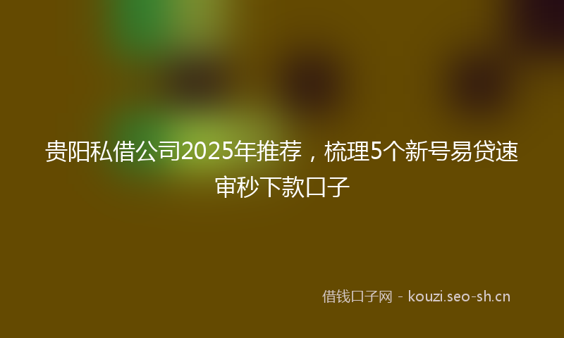 贵阳私借公司2025年推荐，梳理5个新号易贷速审秒下款口子