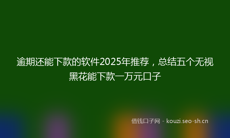 逾期还能下款的软件2025年推荐，总结五个无视黑花能下款一万元口子