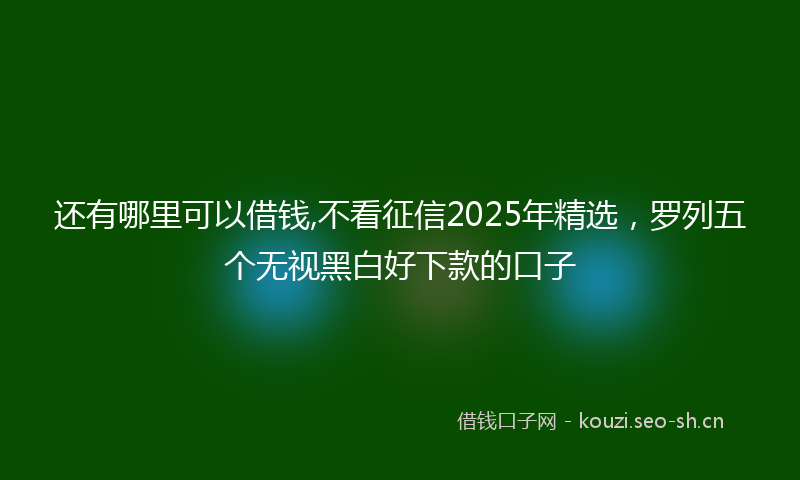 还有哪里可以借钱,不看征信2025年精选，罗列五个无视黑白好下款的口子