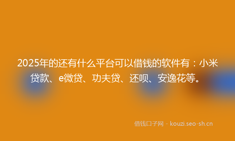 2025年的还有什么平台可以借钱的软件有：小米贷款、e微贷、功夫贷、还呗、安逸花等。