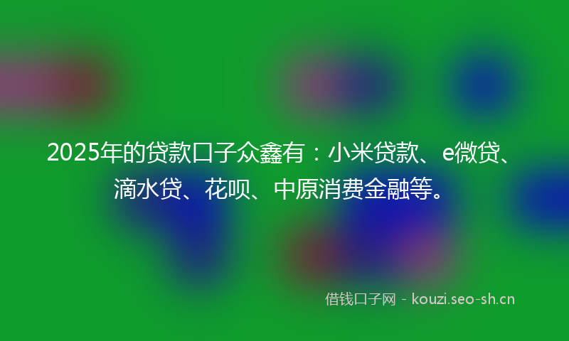 2025年的贷款口子众鑫有：小米贷款、e微贷、滴水贷、花呗、中原消费金融等。