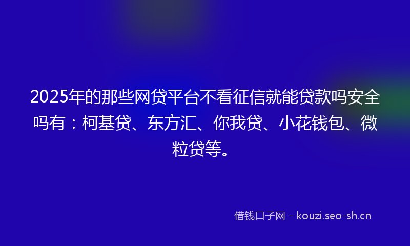 2025年的那些网贷平台不看征信就能贷款吗安全吗有：柯基贷、东方汇、你我贷、小花钱包、微粒贷等。