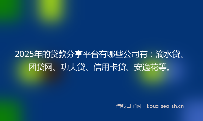 2025年的贷款分享平台有哪些公司有：滴水贷、团贷网、功夫贷、信用卡贷、安逸花等。