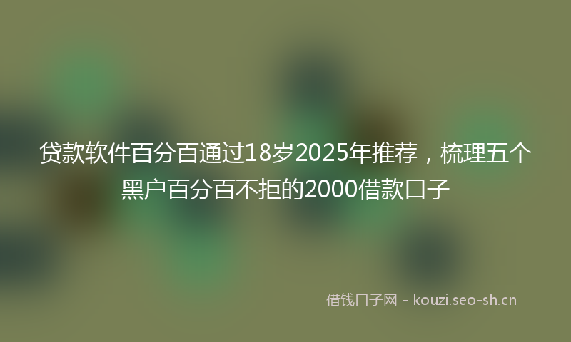 贷款软件百分百通过18岁2025年推荐，梳理五个黑户百分百不拒的2000借款口子
