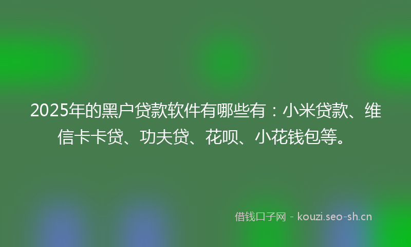 2025年的黑户贷款软件有哪些有：小米贷款、维信卡卡贷、功夫贷、花呗、小花钱包等。
