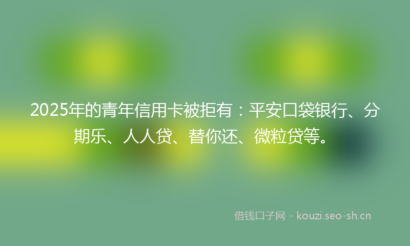 2025年的青年信用卡被拒有:平安口袋银行、分期乐、人人贷、替你还、微粒贷等。