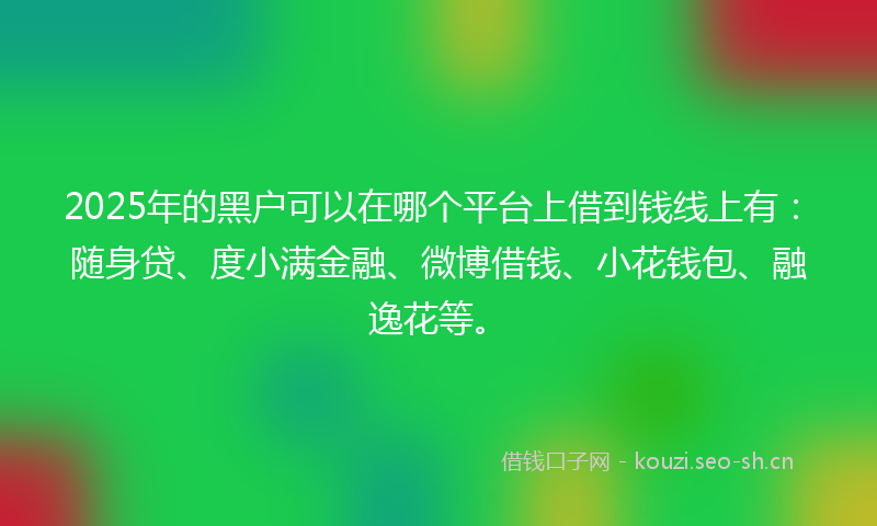 2025年的黑户可以在哪个平台上借到钱线上有：随身贷、度小满金融、微博借钱、小花钱包、融逸花等。