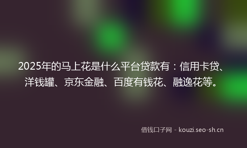 2025年的马上花是什么平台贷款有：信用卡贷、洋钱罐、京东金融、百度有钱花、融逸花等。