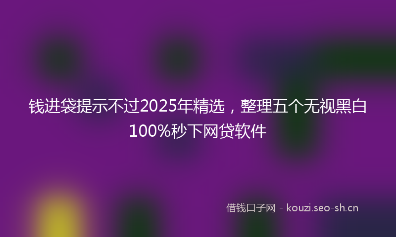 钱进袋提示不过2025年精选，整理五个无视黑白100%秒下网贷软件