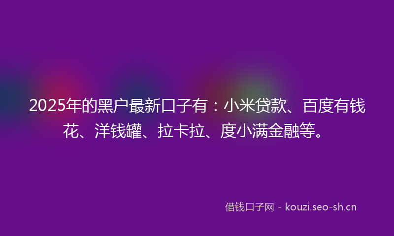 2025年的黑户最新口子有：小米贷款、百度有钱花、洋钱罐、拉卡拉、度小满金融等。