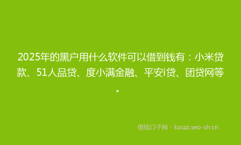 2025年的黑户用什么软件可以借到钱有：小米贷款、51人品贷、度小满金融、平安i贷、团贷网等。