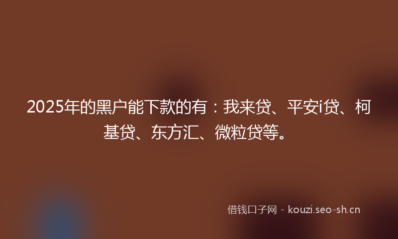2025年的黑户能下款的有：我来贷、平安i贷、柯基贷、东方汇、微粒贷等。