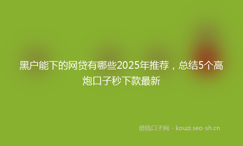 黑户能下的网贷有哪些2025年推荐，总结5个高炮口子秒下款最新