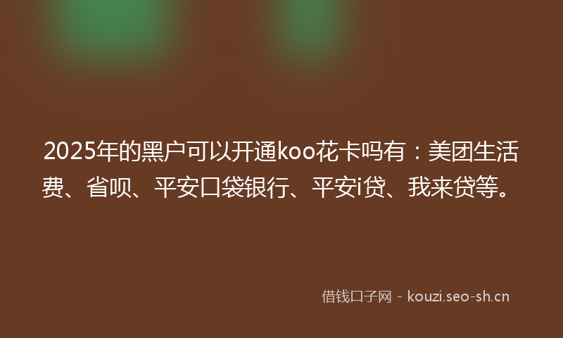 2025年的黑户可以开通koo花卡吗有:美团生活费、省呗、平安口袋银行、平安i贷、我来贷等。