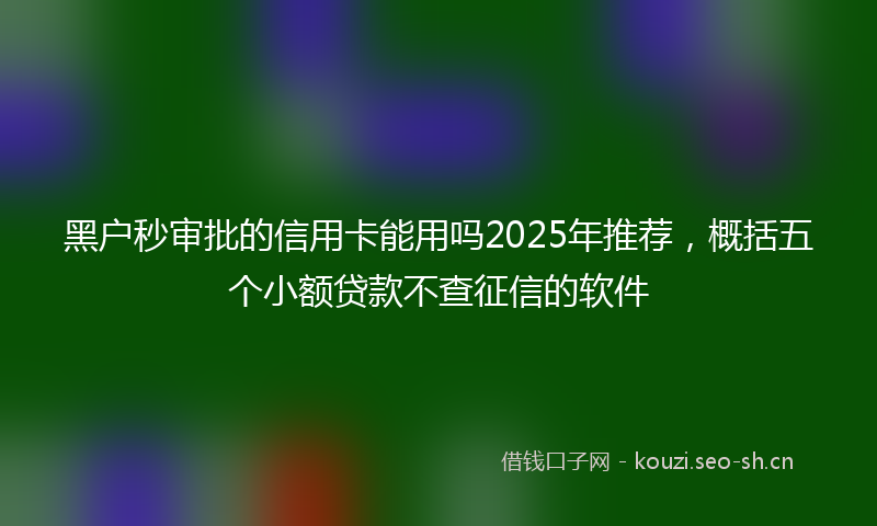 黑户秒审批的信用卡能用吗2025年推荐，概括五个小额贷款不查征信的软件