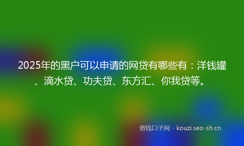 2025年的黑户可以申请的网贷有哪些有:洋钱罐、滴水贷、功夫贷、东方汇、你我贷等。