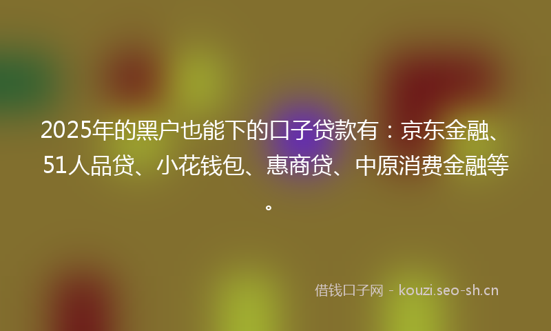 2025年的黑户也能下的口子贷款有：京东金融、51人品贷、小花钱包、惠商贷、中原消费金融等。
