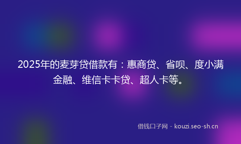 2025年的麦芽贷借款有：惠商贷、省呗、度小满金融、维信卡卡贷、超人卡等。