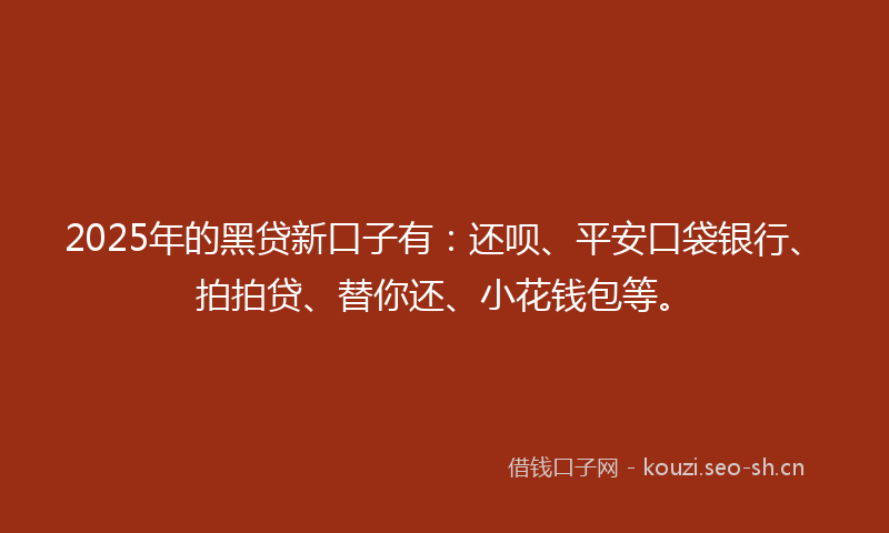 2025年的黑贷新口子有:还呗、平安口袋银行、拍拍贷、替你还、小花钱包等。