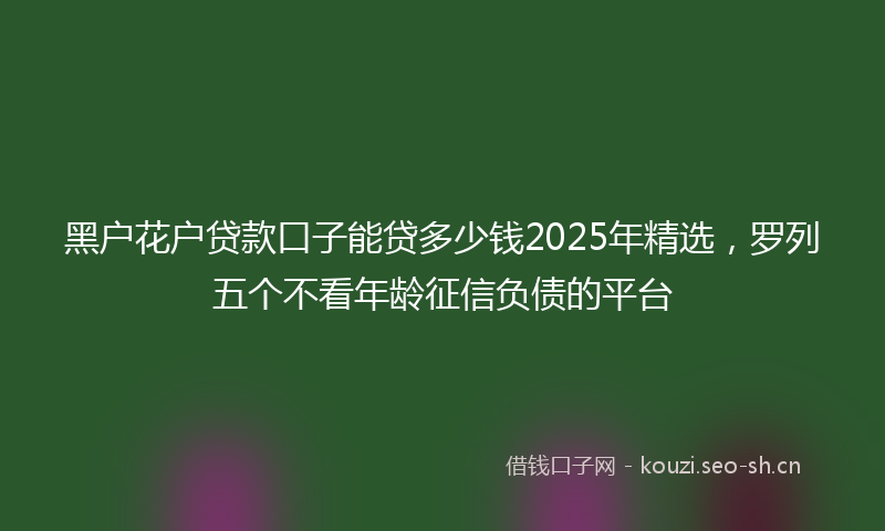 黑户花户贷款口子能贷多少钱2025年精选，罗列五个不看年龄征信负债的平台