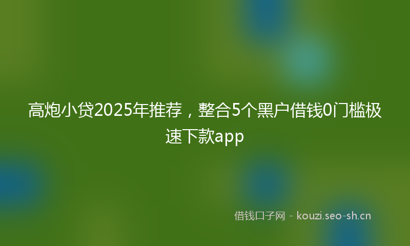 高炮小贷2025年推荐,整合5个黑户借钱0门槛极速下款app