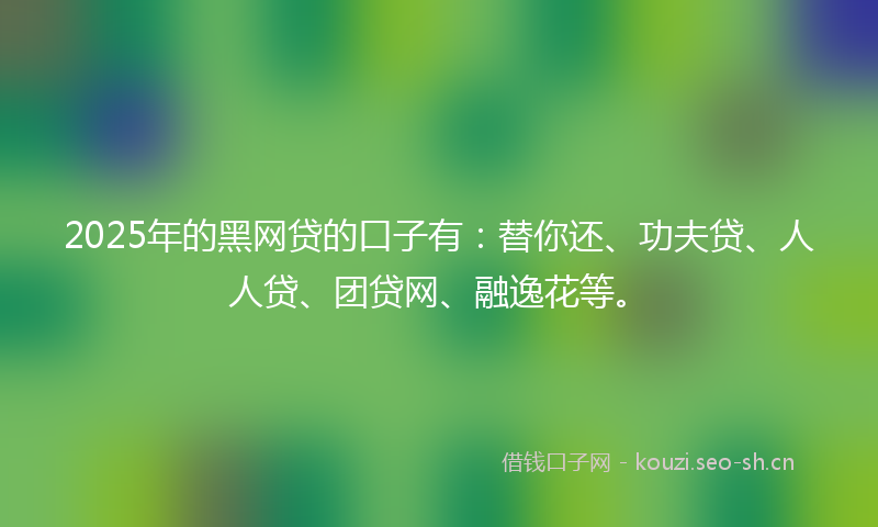 2025年的黑网贷的口子有：替你还、功夫贷、人人贷、团贷网、融逸花等。