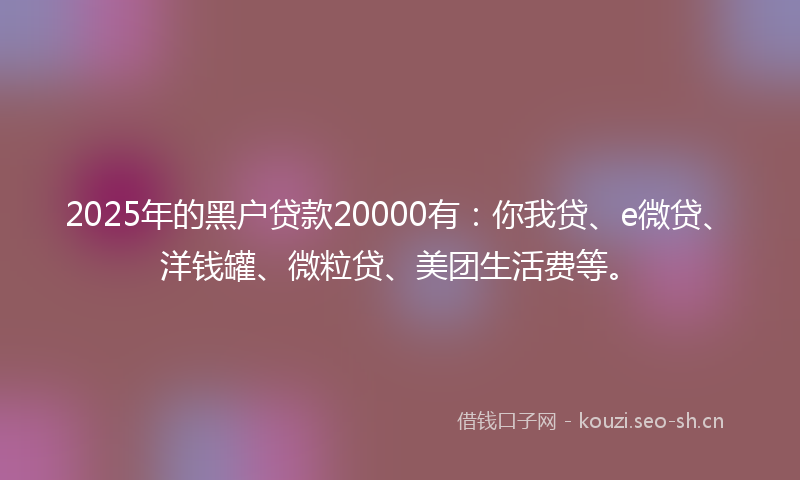 2025年的黑户贷款20000有：你我贷、e微贷、洋钱罐、微粒贷、美团生活费等。