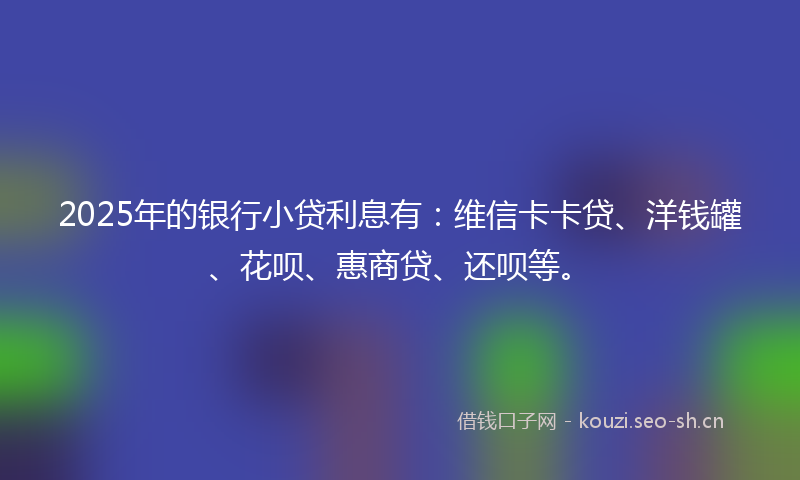 2025年的银行小贷利息有：维信卡卡贷、洋钱罐、花呗、惠商贷、还呗等。