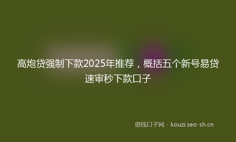 高炮贷强制下款2025年推荐，概括五个新号易贷速审秒下款口子