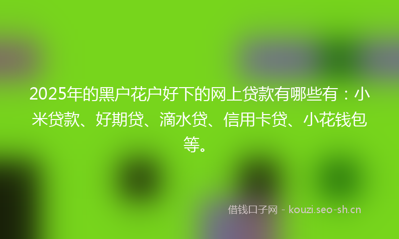2025年的黑户花户好下的网上贷款有哪些有：小米贷款、好期贷、滴水贷、信用卡贷、小花钱包等。