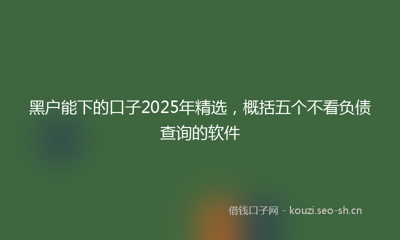 黑户能下的口子2025年精选，概括五个不看负债查询的软件