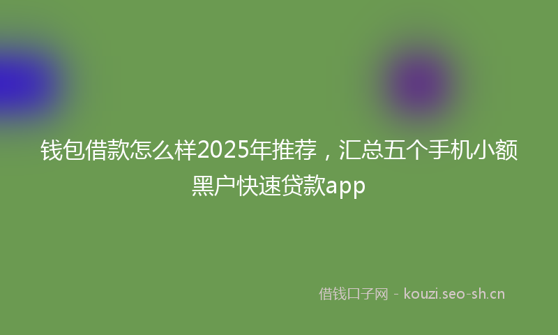 钱包借款怎么样2025年推荐，汇总五个手机小额黑户快速贷款app