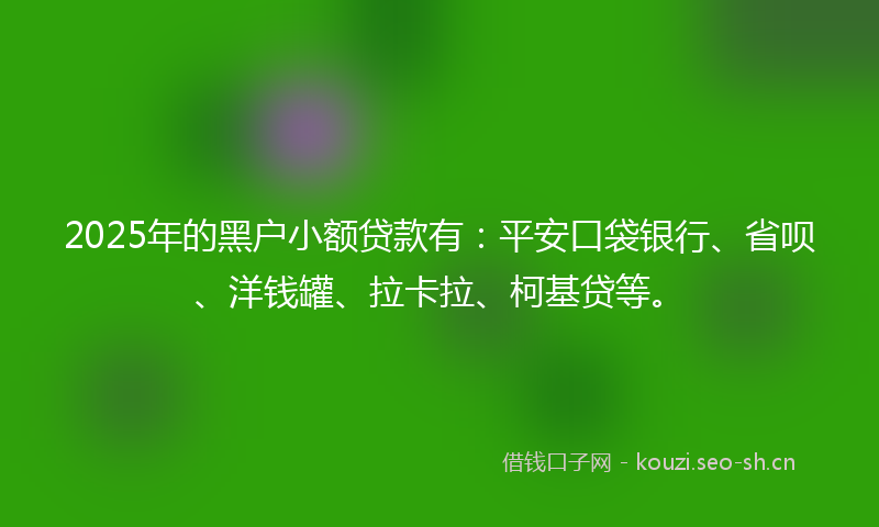 2025年的黑户小额贷款有:平安口袋银行、省呗、洋钱罐、拉卡拉、柯基贷等。