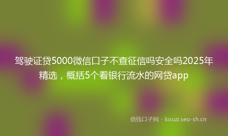 驾驶证贷5000微信口子不查征信吗安全吗2025年精选，概括5个看银行流水的网贷app