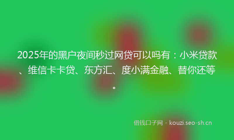 2025年的黑户夜间秒过网贷可以吗有：小米贷款、维信卡卡贷、东方汇、度小满金融、替你还等。