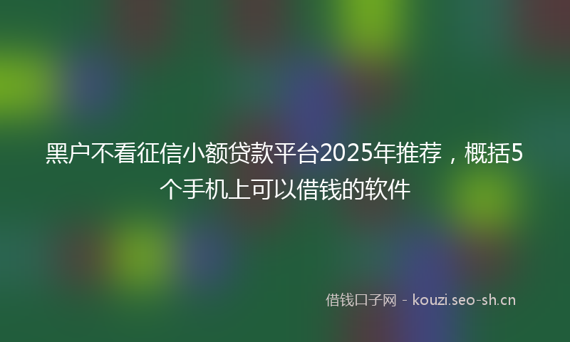 黑户不看征信小额贷款平台2025年推荐，概括5个手机上可以借钱的软件