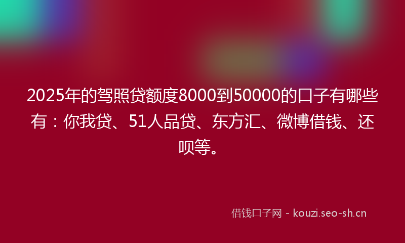 2025年的驾照贷额度8000到50000的口子有哪些有：你我贷、51人品贷、东方汇、微博借钱、还呗等。