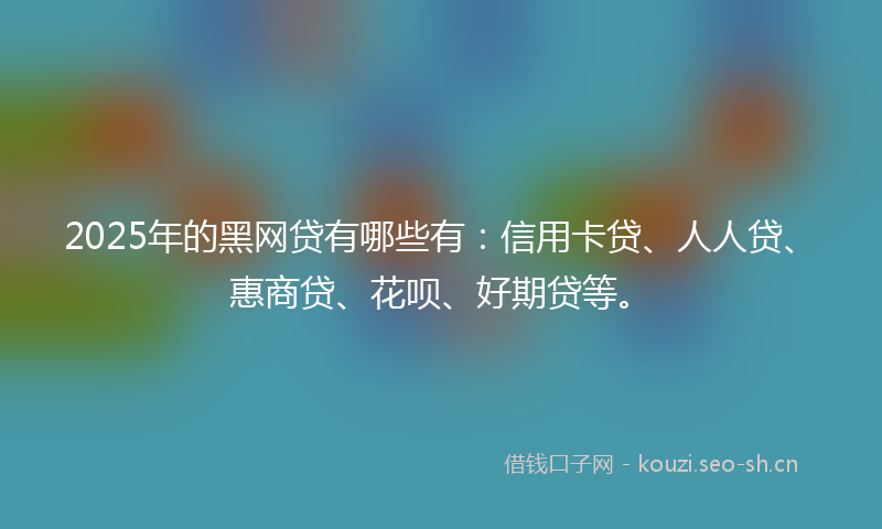 2025年的黑网贷有哪些有：信用卡贷、人人贷、惠商贷、花呗、好期贷等。
