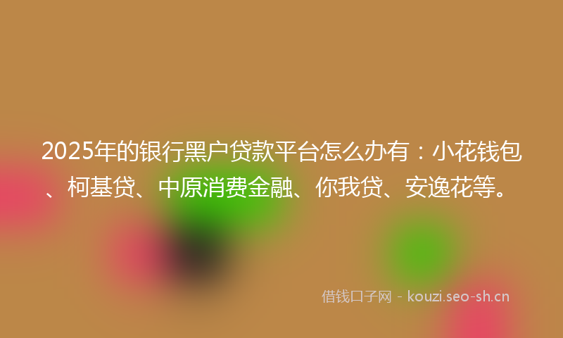 2025年的银行黑户贷款平台怎么办有：小花钱包、柯基贷、中原消费金融、你我贷、安逸花等。