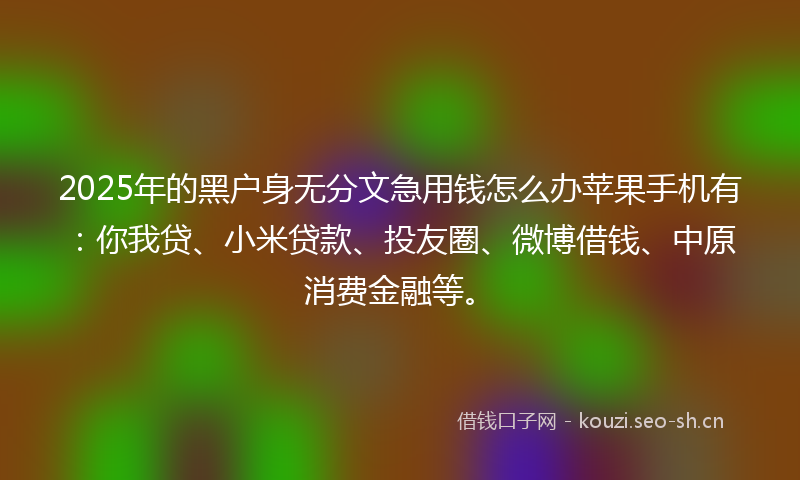 2025年的黑户身无分文急用钱怎么办苹果手机有：你我贷、小米贷款、投友圈、微博借钱、中原消费金融等。