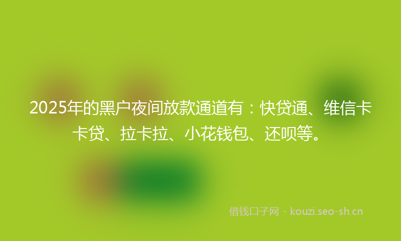 2025年的黑户夜间放款通道有:快贷通、维信卡卡贷、拉卡拉、小花钱包、还呗等。