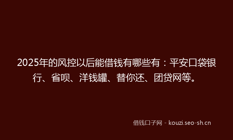 2025年的风控以后能借钱有哪些有:平安口袋银行、省呗、洋钱罐、替你还、团贷网等。