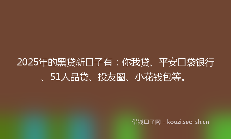 2025年的黑贷新口子有：你我贷、平安口袋银行、51人品贷、投友圈、小花钱包等。
