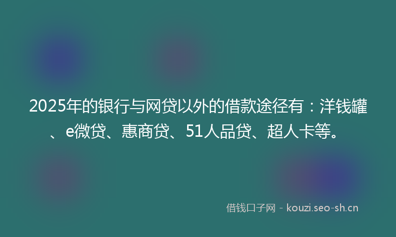 2025年的银行与网贷以外的借款途径有：洋钱罐、e微贷、惠商贷、51人品贷、超人卡等。