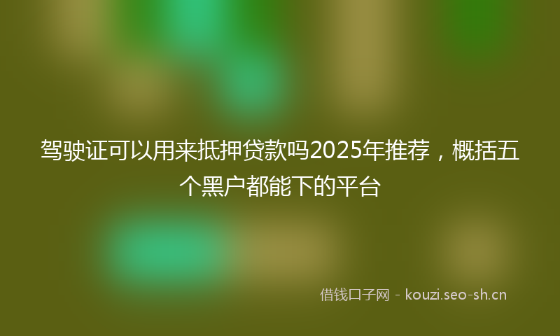 驾驶证可以用来抵押贷款吗2025年推荐，概括五个黑户都能下的平台