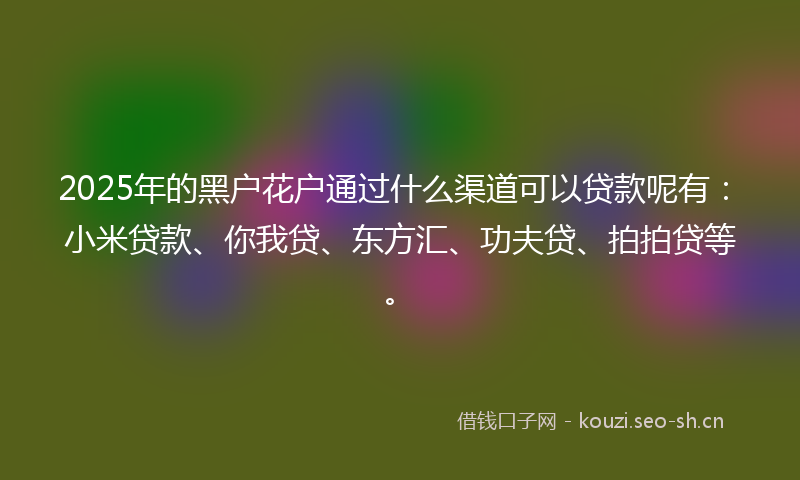 2025年的黑户花户通过什么渠道可以贷款呢有：小米贷款、你我贷、东方汇、功夫贷、拍拍贷等。