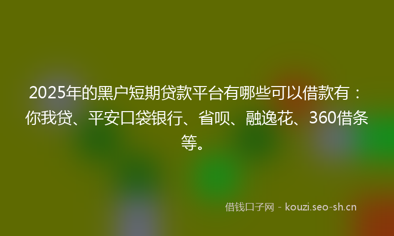 2025年的黑户短期贷款平台有哪些可以借款有:你我贷、平安口袋银行、省呗、融逸花、360借条等。