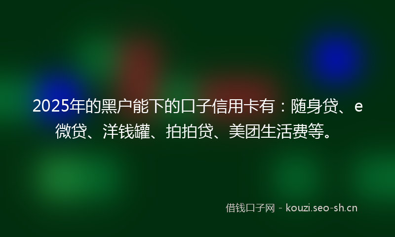 2025年的黑户能下的口子信用卡有：随身贷、e微贷、洋钱罐、拍拍贷、美团生活费等。