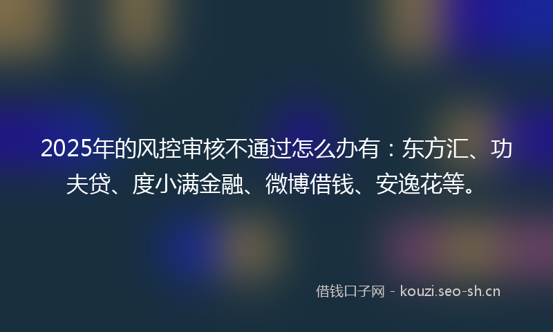 2025年的风控审核不通过怎么办有：东方汇、功夫贷、度小满金融、微博借钱、安逸花等。