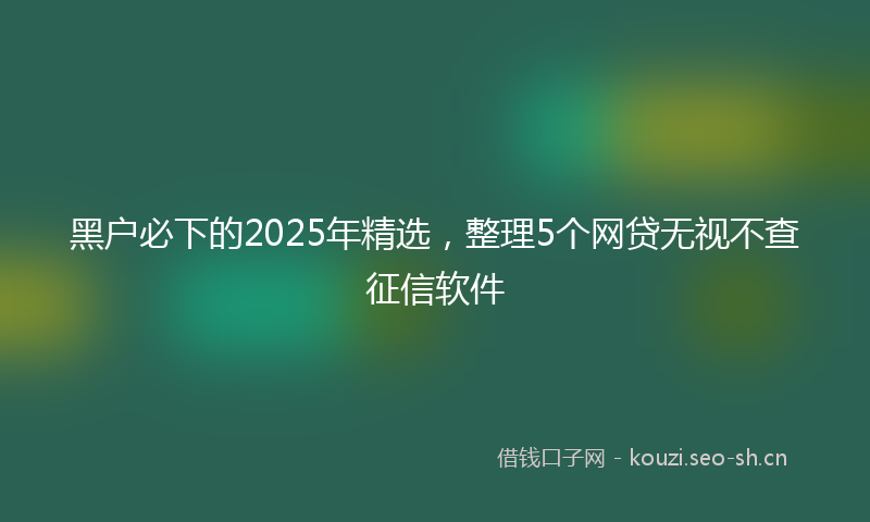 黑户必下的2025年精选，整理5个网贷无视不查征信软件